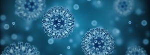 Virus del Herpes Simple