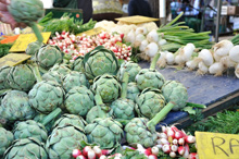 Nutrición y salud-Alimentos de la A a la Z-La alcachofa, la famosa aliada de las dietas.