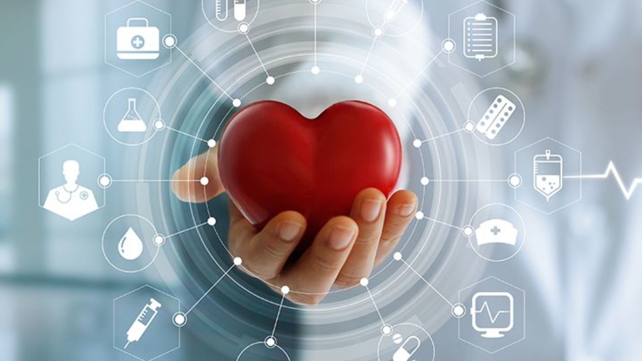 como bajar la grasa del corazon como bajar la grasa del corazon