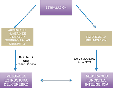 gráfico estimulación