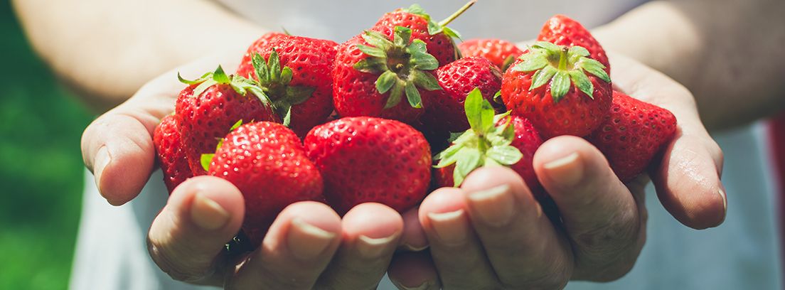 manos sujetando un puñado de fresas