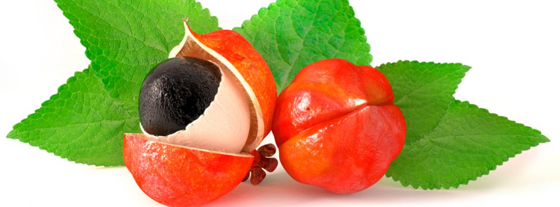 guarana 3