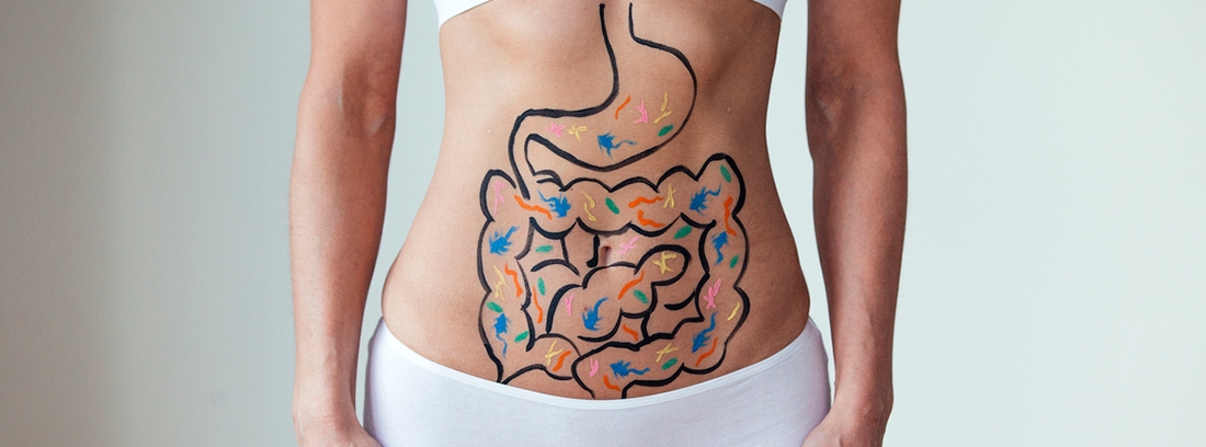 dibujo de una digestión sobre el estómago de una chica