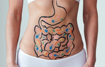 dibujo de una digestión sobre el estómago de una chica