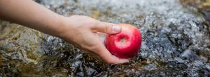 Mano sosteniendo una manzana roja en el río