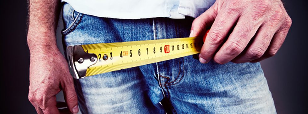 La función del pene, anatomía y problemas -Blogs MAPFRE