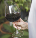 Bienestar. Beneficios del vino en la dieta