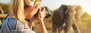Una chica rubia le hace una foto a un elefante