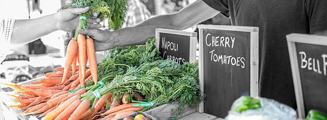 Zanahorias y unos carteles con nombres de fruta