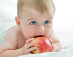 Salud Bebé. Nutrición. Alimentación complementaria. ¿Cómo introducimos los alimentos sólidos?