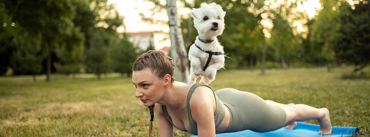 Deporte con tu mascota: mujer haciendo gimnasia en una tumbona y el perro saltando por encima de ella