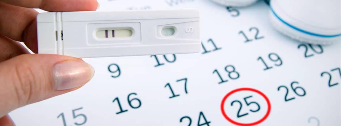 Calendario delos días fértiles en el ciclo ovárico con prueba de embarazo