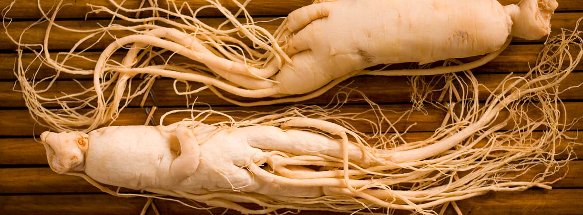 Plantas naturales para superar la primavera: ginseng