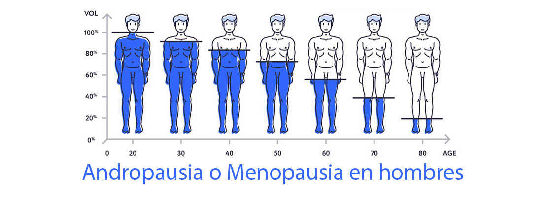 escala descenso testosterona hombres