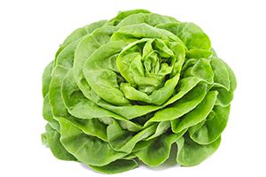 lechuga