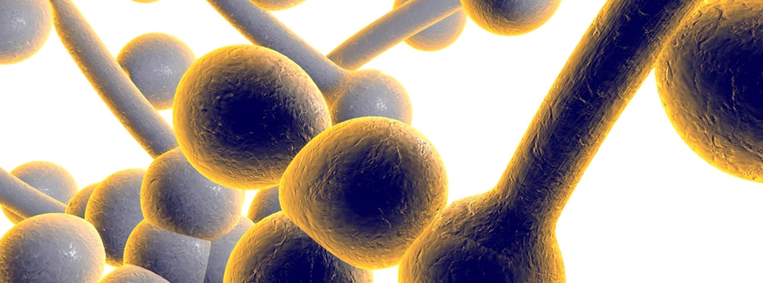 cuadros de síntomas de infección de levadura femenina