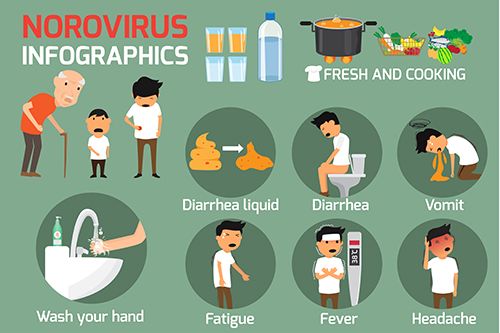 Qué es el norovirus? Síntomas y tratamiento