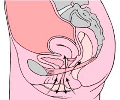 ejercicios de kegel