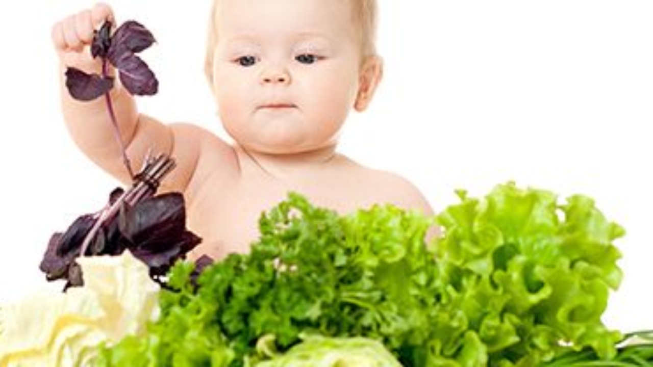 comida saludable para niños y adultos