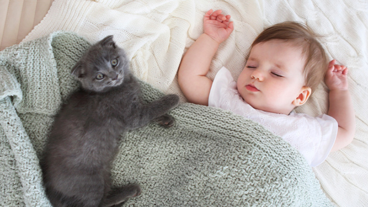 bebe con toxoplasmosis sintomas