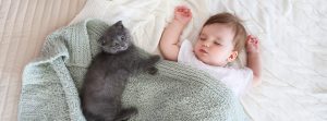 bebe durmiendo con un gatito negro