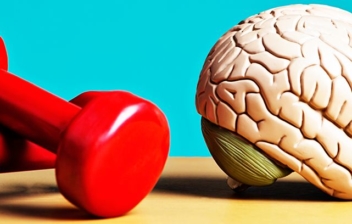 dos mancuernas rojas y un cerebro