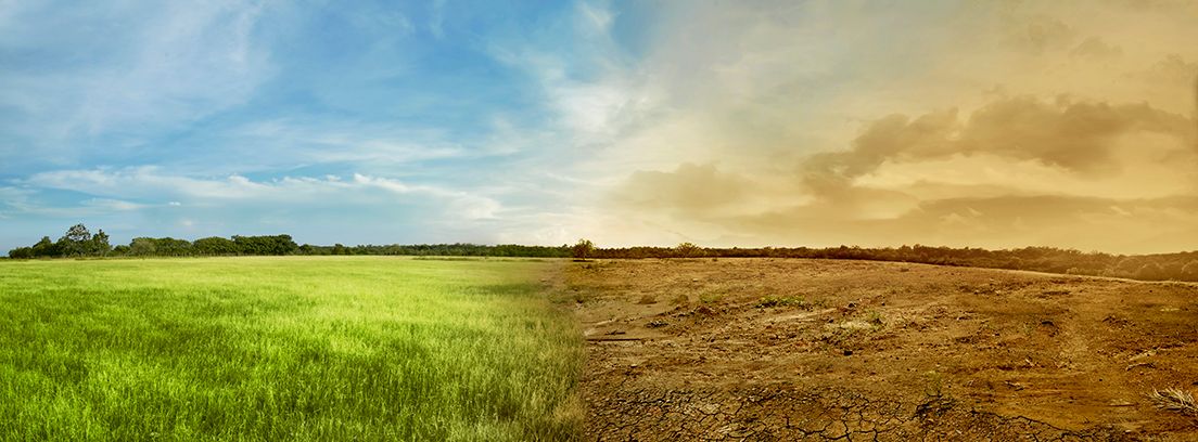 Fotomontaje con los efectos del cambio climático en el campo