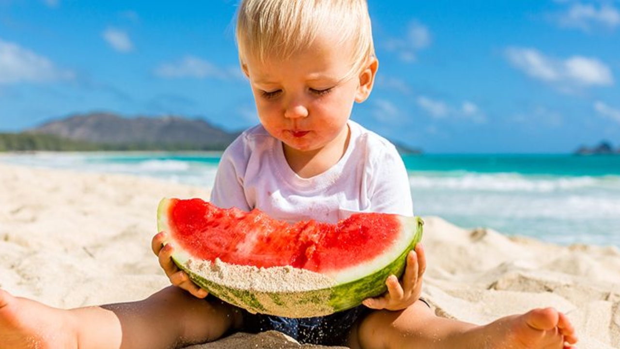 Comida Saludable Para Ninos En La Playa Y La Piscina Canalsalud Comida Saludable Para Ninos En La Playa Y La Piscina Canalsalud