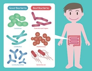 Dibujo nino con bacterias que se encuentran en el intestino