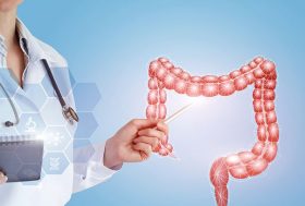 médico señalando un trozo de intestino