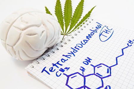 hoja de cannabis, un cerebro y fórmula escrita en un cuaderno