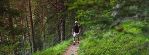 hombre paseando por el bosque