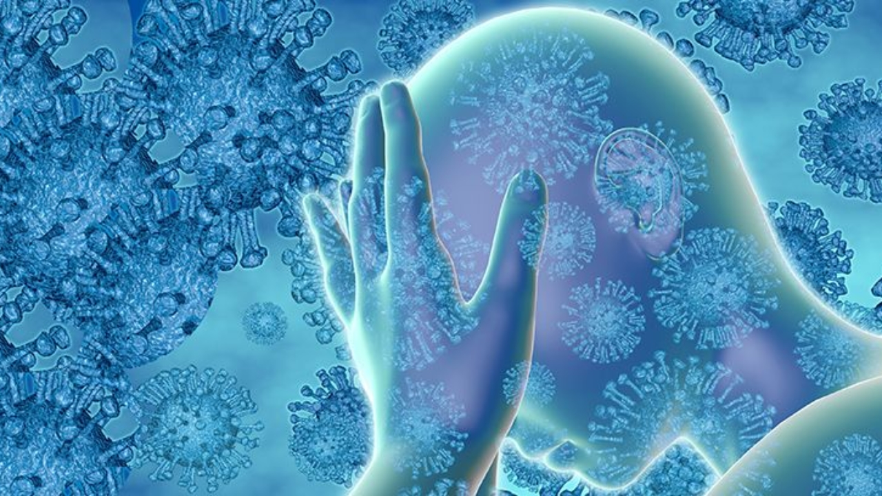 como erradicar las enfermedades causadas por los virus