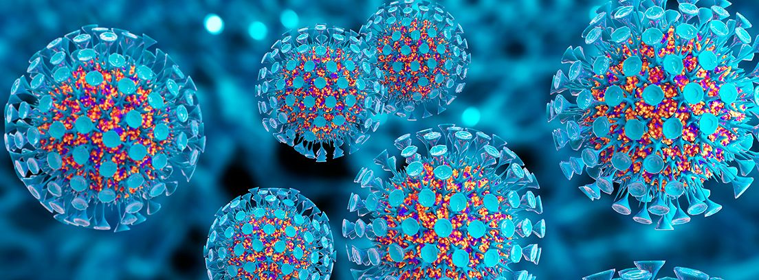 virus
