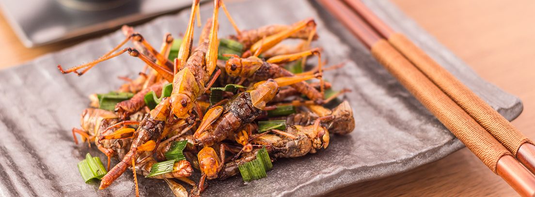 plato de comida con saltamontes