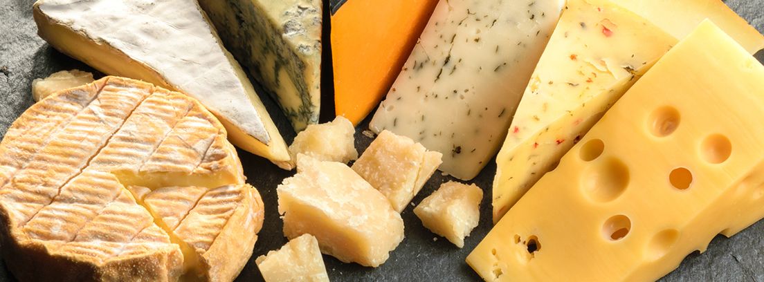 diferentes variedades de quesos