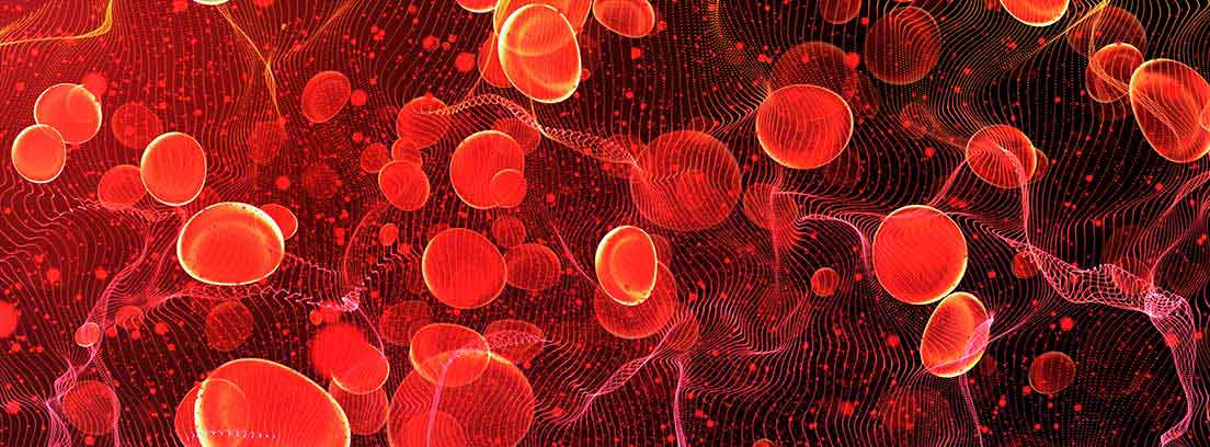 ¿Qué son las gammapatías monoclonales o enfermedades?