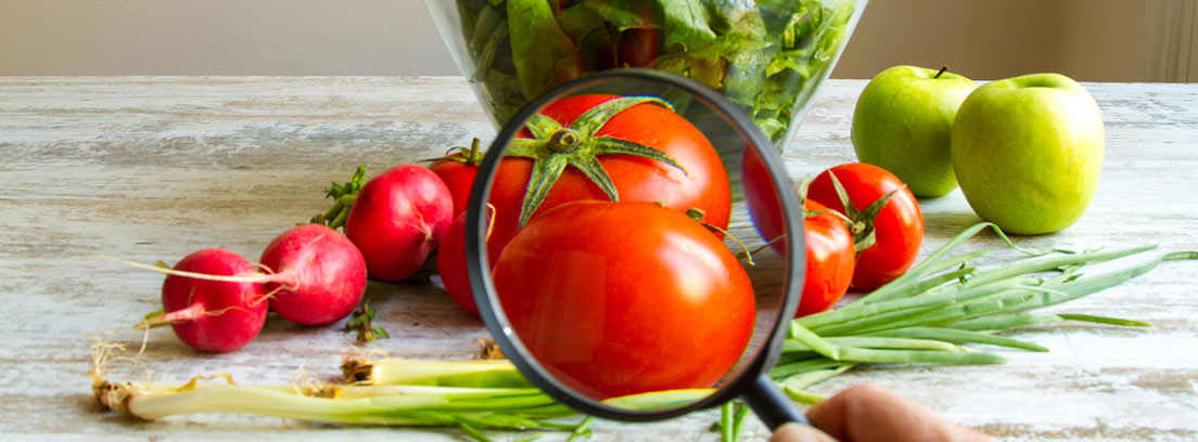 manzanas, rábanitos, ajetes y una lupa encima de unos tomates