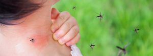 picadura de mosquito en cuello de mujer y mosquitos volando alrededor