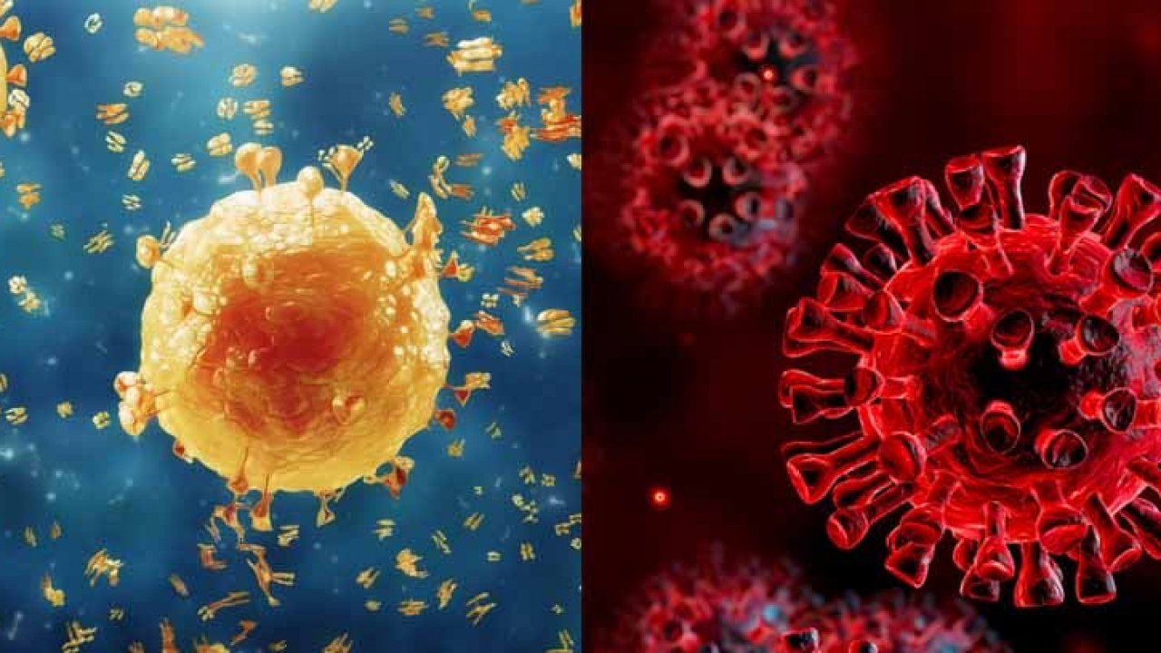 Es lo mismo la gripe que el coronavirus? -canalSALUD