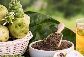 Noni, propiedades nutricionales