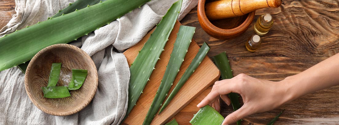 4 Remedios caseros con plantas para tu bienestar : gel de aloe vera