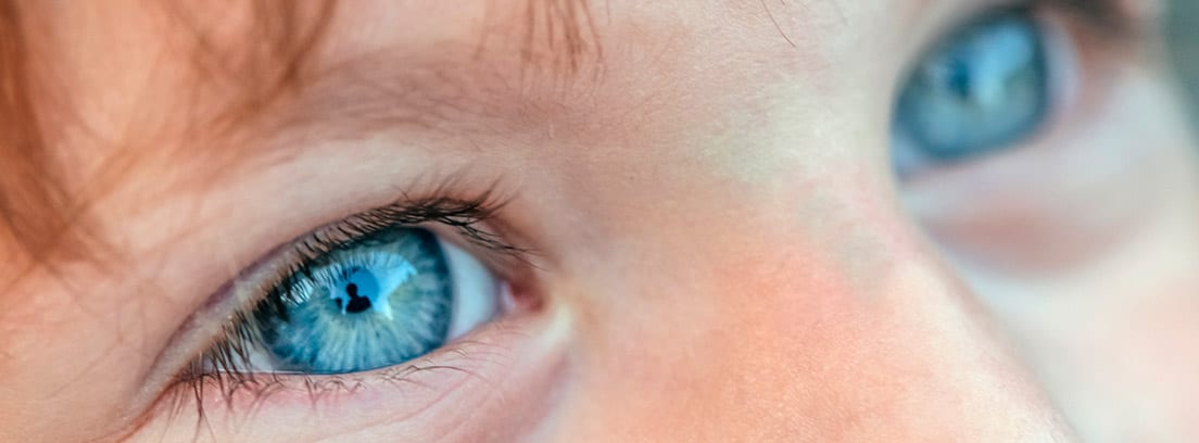 ¿De qué depende el color de los ojos: niño con los ojos azules