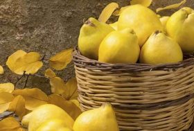 ¿Qué beneficios tiene el membrillo para la salud? cesta de mimbre llena de membrillos