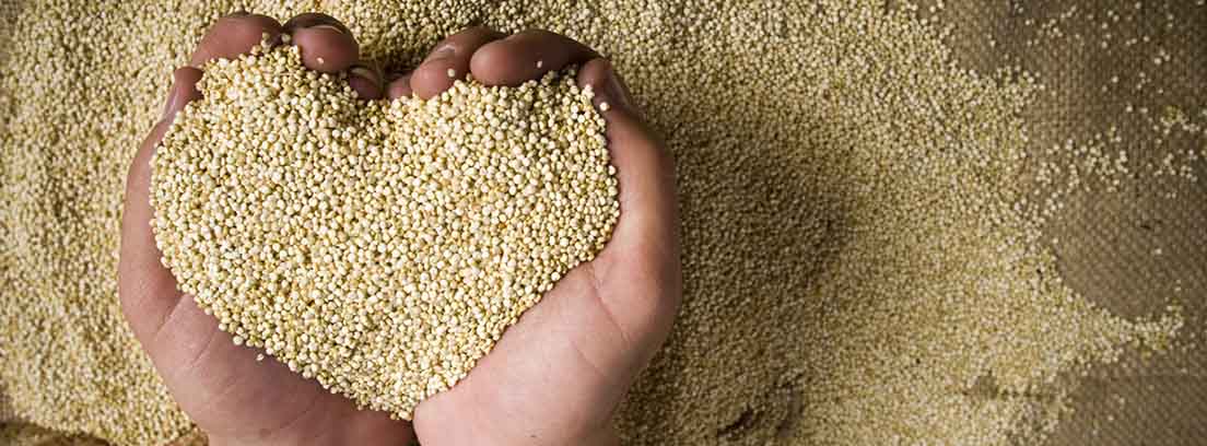 Ventajas de comer quinoa: manos cogiendo quinoa en forma de corazón