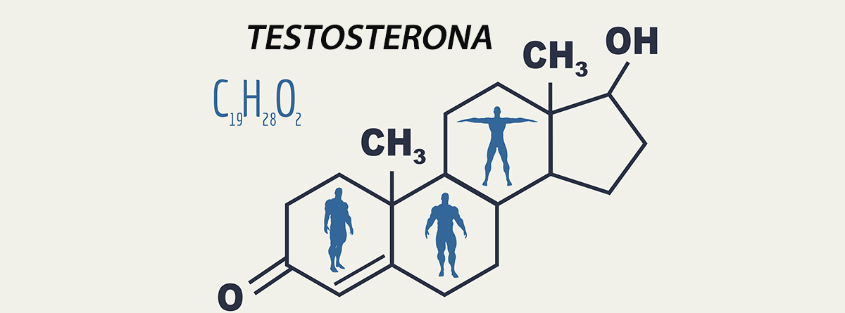 Molécula de Testosterona