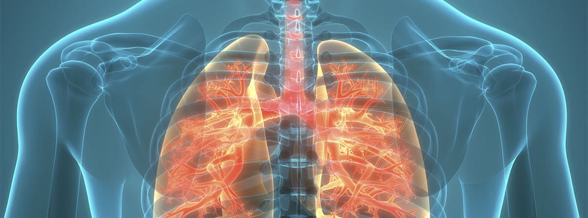 Gráfico de los pulmones