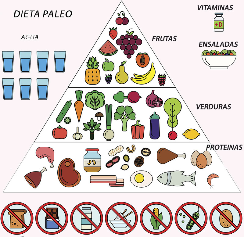 Dieta paleo: pirámide de alimentos de la dieta paleo