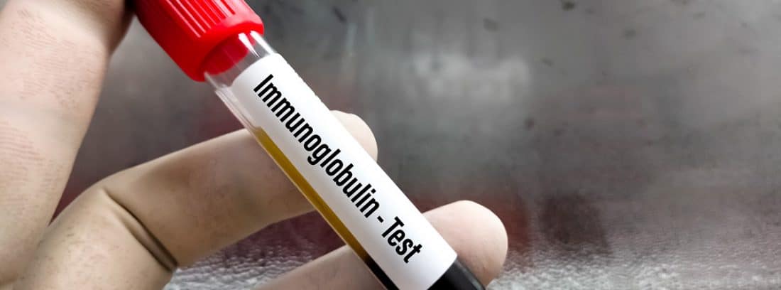 Test IgA ¿qué mide?: tubo de sangre de test de inmunoglobulina