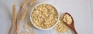 Beneficion del germen de trigo: bol con germen de trigo triturado una cuchara de madera y espigas de trigo